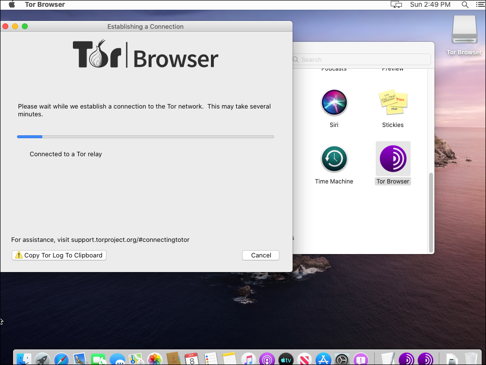 Tor Browser establishes a connection