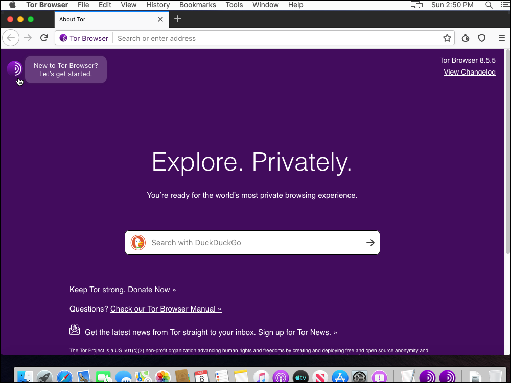 Tor Browser initial screen